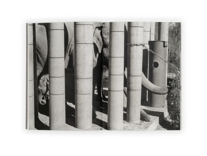 Julia Mejnertsen Hun02