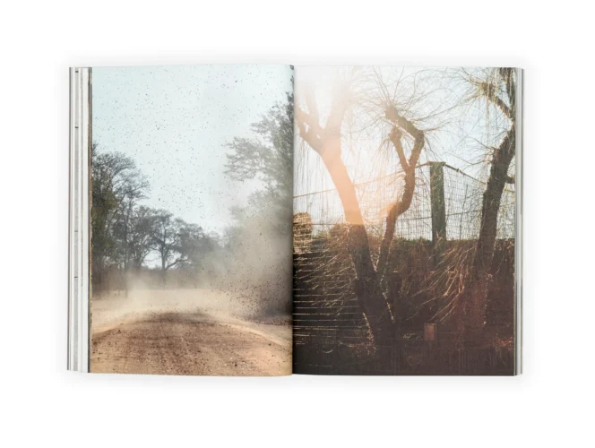 Julia Mejnertsen Hun05