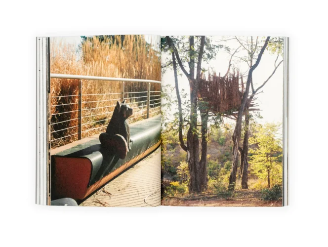 Julia Mejnertsen Hun07