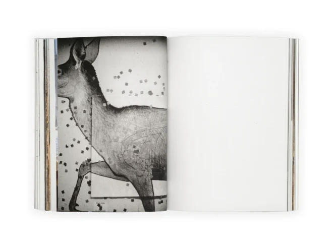 Julia Mejnertsen Hun11