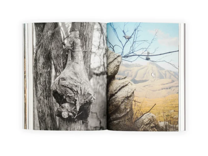 Julia Mejnertsen Hun21