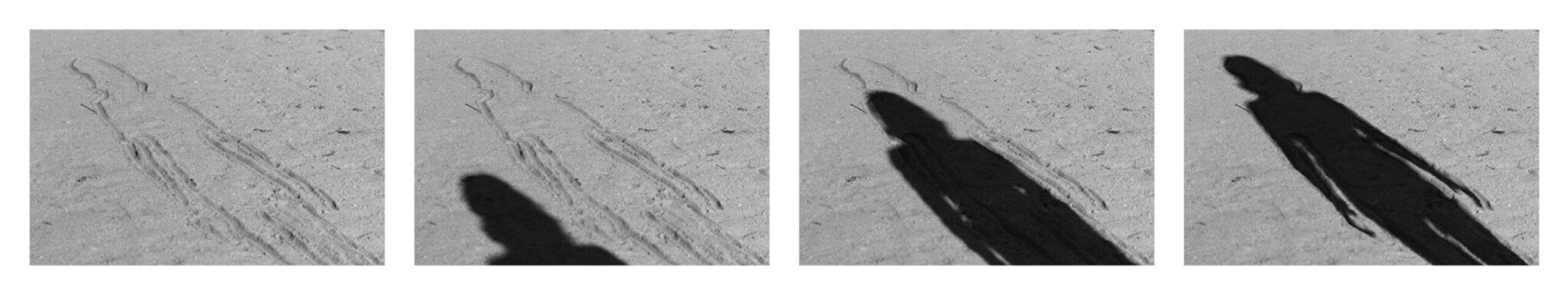 Ensayos para llenar un vacío, Fernanda Del Barrio 03