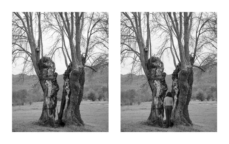 Ensayos para llenar un vacío, Fernanda Del Barrio 04