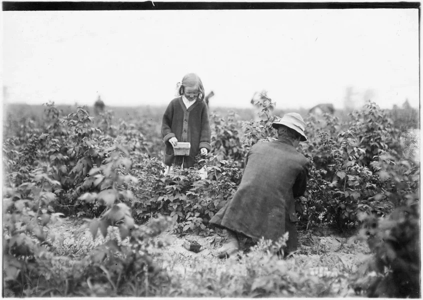 7496145396_320fce1ac1_o