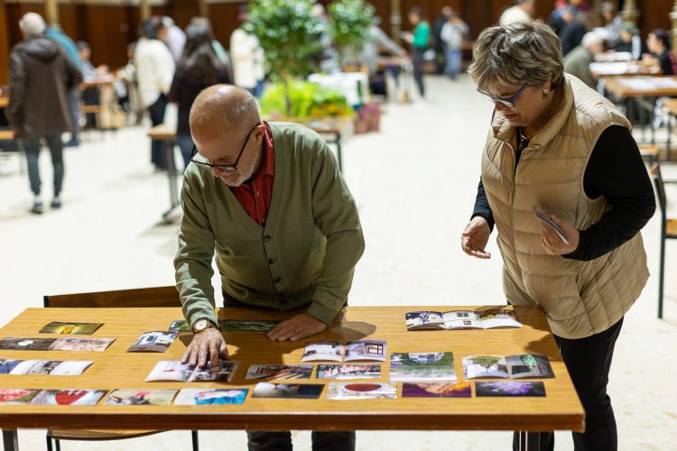 José Manuel Navia Portfolios Jardín Remoto Experience 2024-7