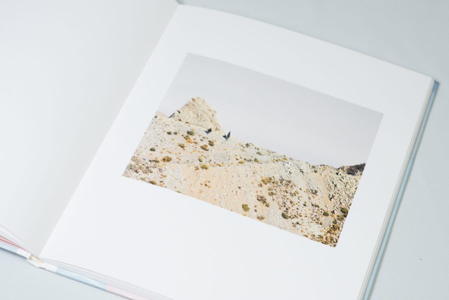 CT_reproducciones-20