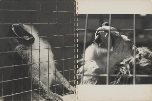 rober-frank-40-fotos-11