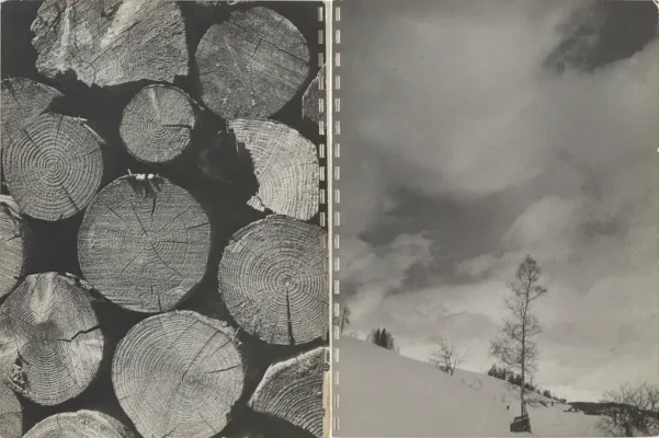 rober-frank-40-fotos-5