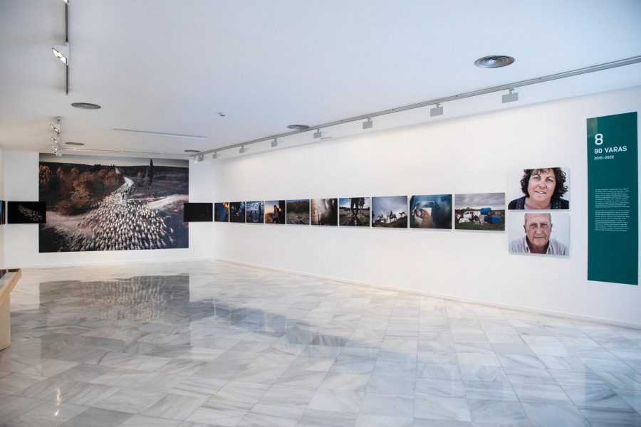 Susana Giron Buena Sombra Granada Jardin Remoto-4