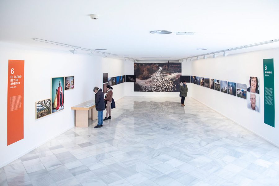 Susana Giron Buena Sombra Granada Jardin Remoto-6