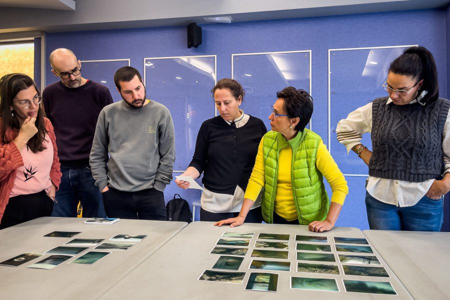 Taller edición portfolios Gustavo Bravo Jardín Remoto mayo 2024-15