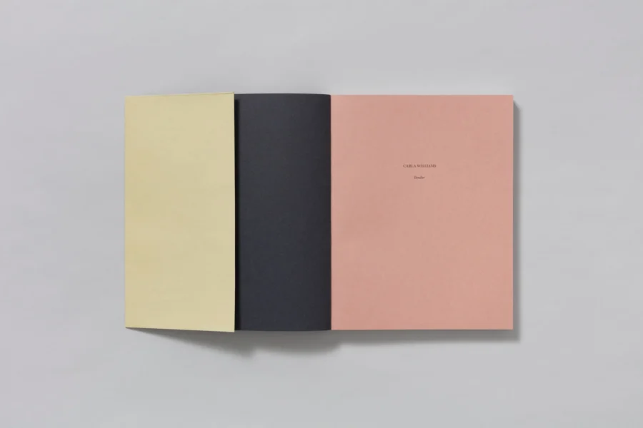 fotolibro TENDER CARLA WILLIAMS