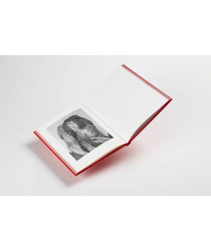 el-recinto-circular-laura-san-segundo (4)