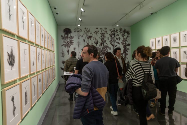 20240320__mg_6528_edit_-manuel-castells_53601598316_o