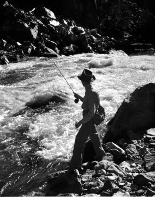 50fc1a1333dab56b4e8414749d3d8392