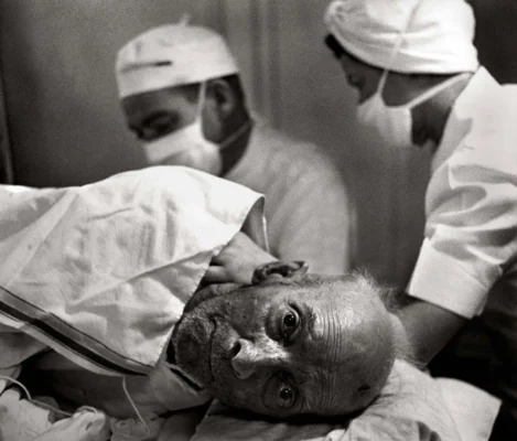 876c5eee3d078be641b10e029985608e