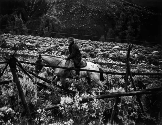 par108037-teaser-story-big